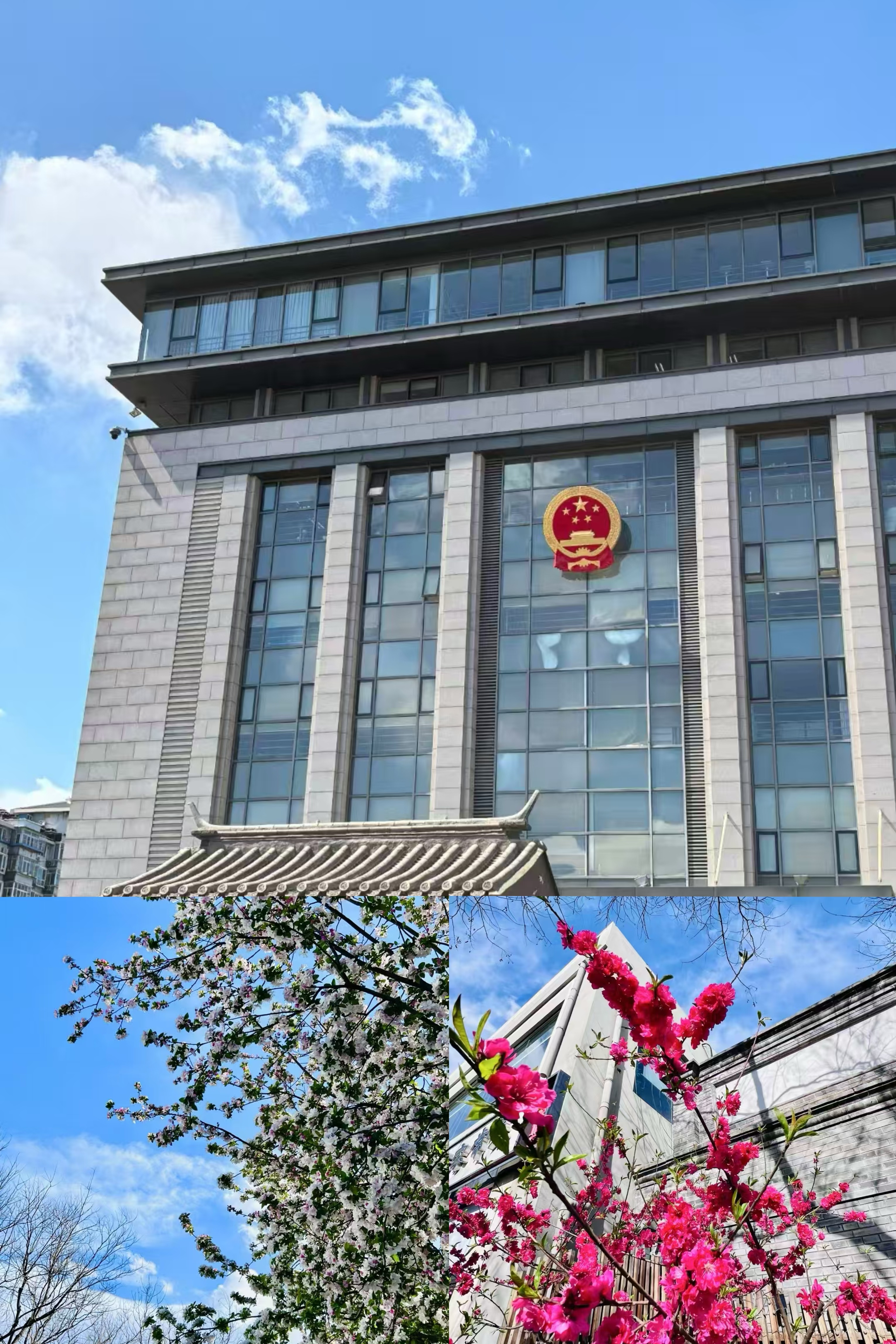 https://www.zhongxuanlawyer.com/static/img/wangEditorImg_1743513985028.png
